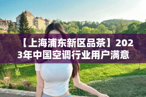 【上海浦东新区品茶】2023年中国空调行业用户满意度指数创历史新高